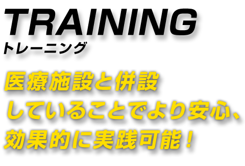 TRAINING トレーニング