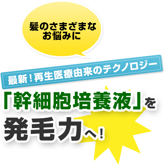 髪のさまざまなお悩みに