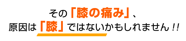 その「膝の痛み」