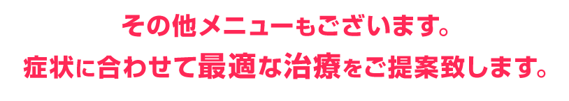 その他メニューもございます。