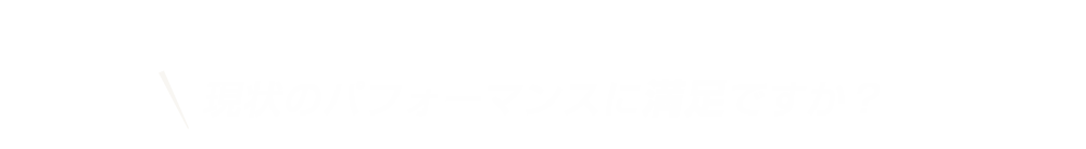 パフォーマンスに満足ですか