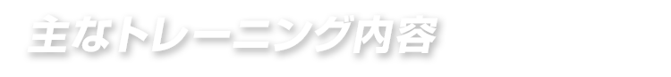 主なトレーニング内容