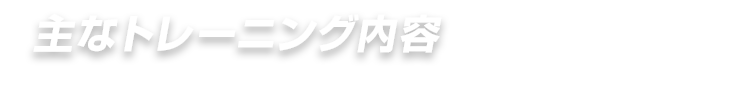 主なトレーニング内容