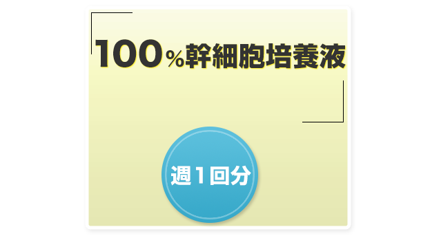 幹細胞エキス10％配合育毛剤