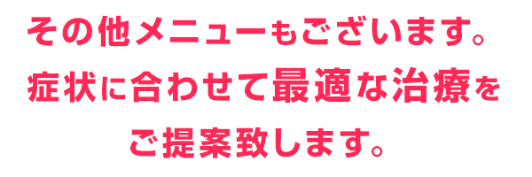 その他メニューもございます