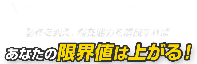 現状のパフォーマンスに満足ですか